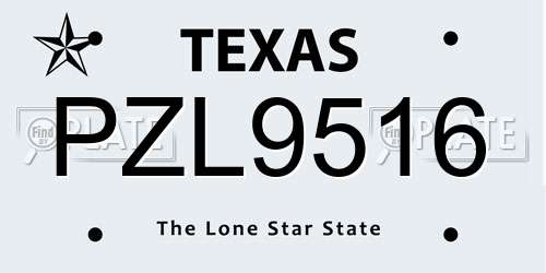 PZL9516 Texas License Plate