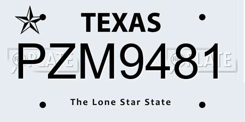 PZM9481 Texas License Plate