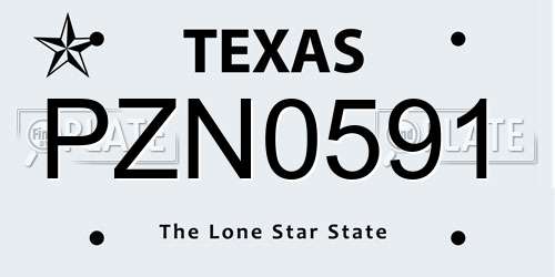 PZN0591 Texas License Plate