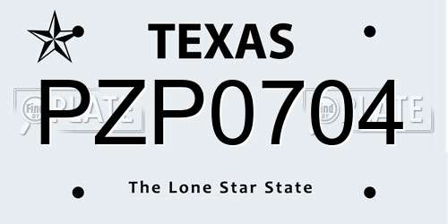PZP0704 Texas License Plate