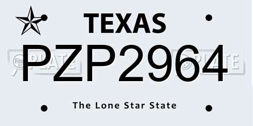 PZP2964 Texas License Plate