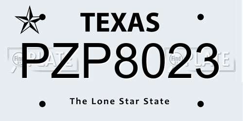 PZP8023 Texas License Plate
