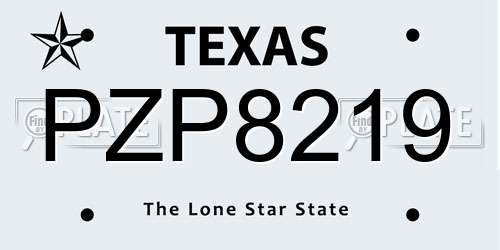PZP8219 Texas License Plate