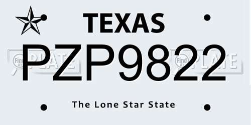 PZP9822 Texas License Plate