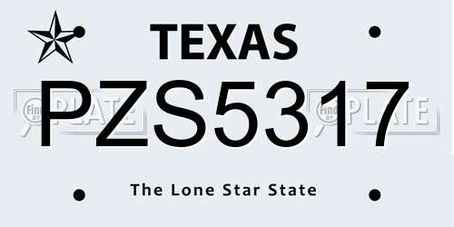 PZS5317 Texas License Plate