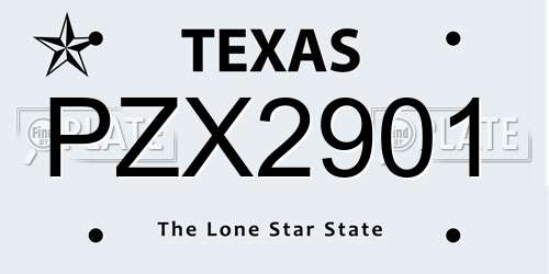 PZX2901 Texas License Plate