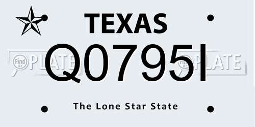 Q0795I Texas License Plate