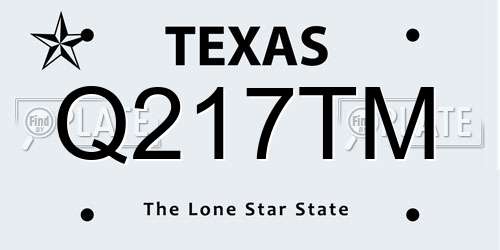 Q217TM Texas License Plate