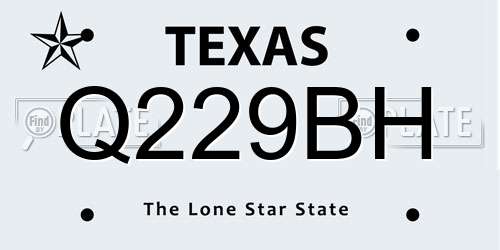 Q229BH Texas License Plate