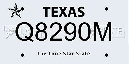 Q8290M Texas License Plate