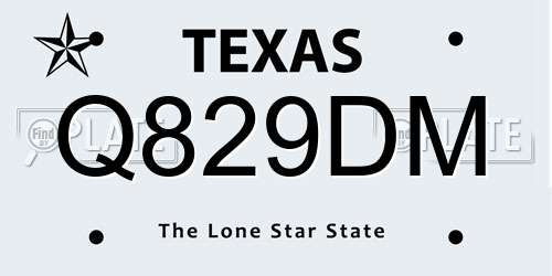 Q829DM Texas License Plate