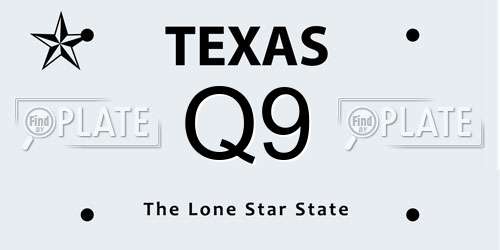 Q9 Texas License Plate