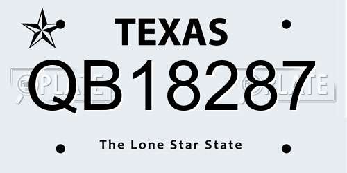 QB18287 Texas License Plate