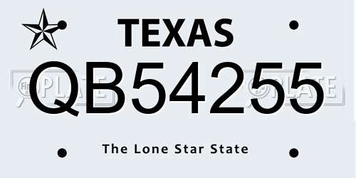 QB54255 Texas License Plate