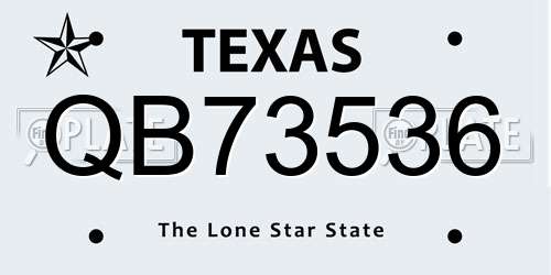 QB73536 Texas License Plate