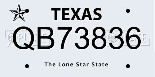QB73836 Texas License Plate
