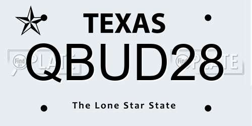 QBUD28 Texas License Plate