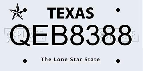 QEB8388 Texas License Plate