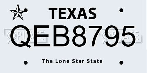 QEB8795 Texas License Plate