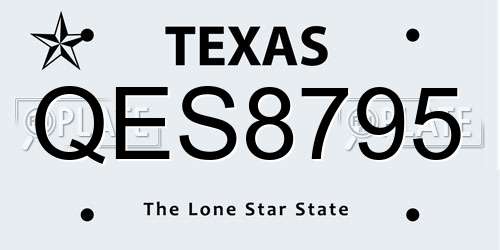 QES8795 Texas License Plate