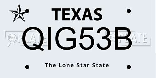 QIG53B Texas License Plate