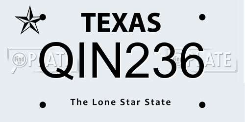 QIN236 Texas License Plate