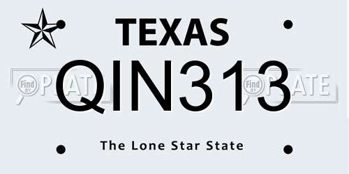 QIN313 Texas License Plate