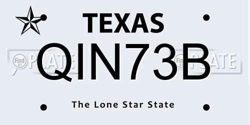 QIN73B Texas License Plate