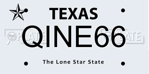 QINE66 Texas License Plate