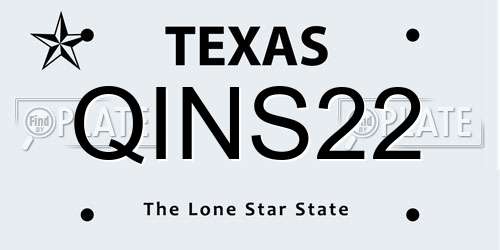 QINS22 Texas License Plate
