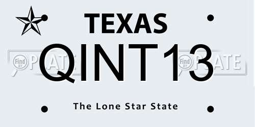 QINT13 Texas License Plate