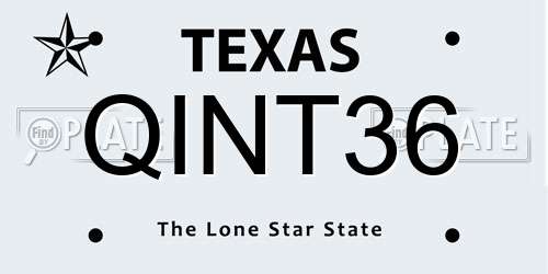 QINT36 Texas License Plate