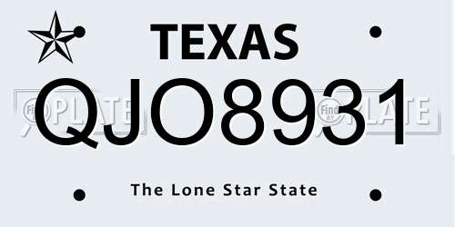 QJO8931 Texas License Plate