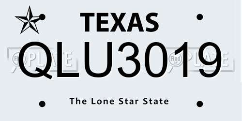 QLU3019 Texas License Plate