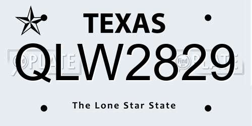 QLW2829 Texas License Plate