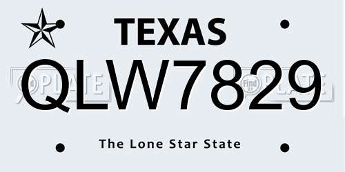 QLW7829 Texas License Plate