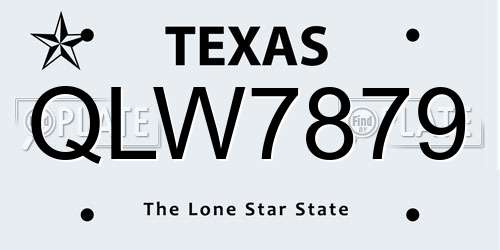 QLW7879 Texas License Plate