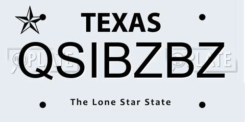 QSIBZBZ Texas License Plate
