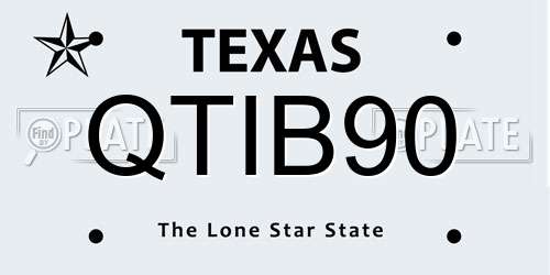 QTIB90 Texas License Plate