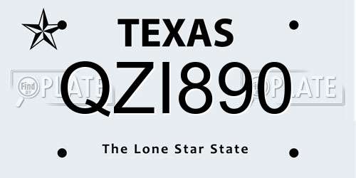QZI890 Texas License Plate
