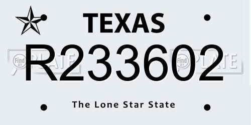 R233602 Texas License Plate