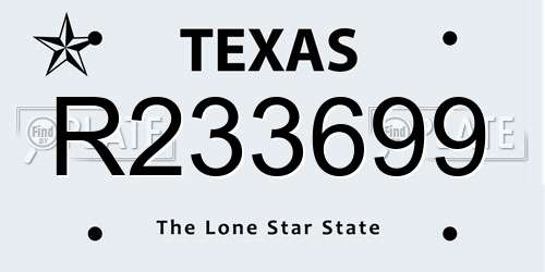 R233699 Texas License Plate