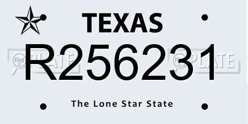 R256231 Texas License Plate