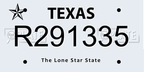 R291335 Texas License Plate
