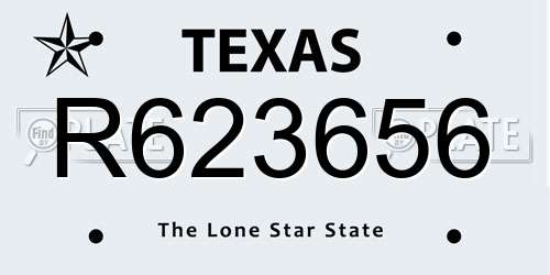 R623656 Texas License Plate