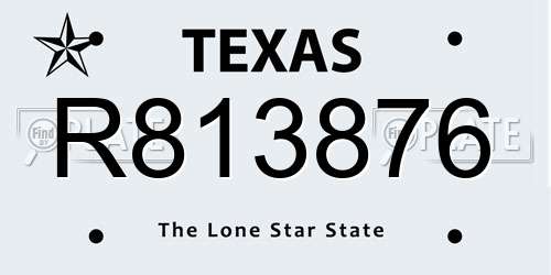 R813876 Texas License Plate