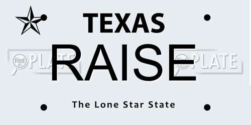 RAISE Texas License Plate