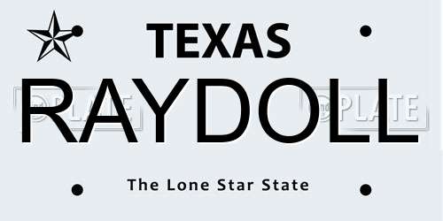 RAYDOLL Texas License Plate