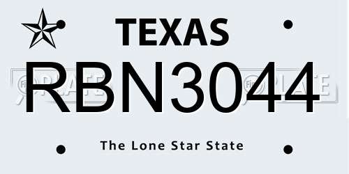 RBN3044 Texas License Plate