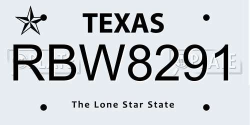 RBW8291 Texas License Plate